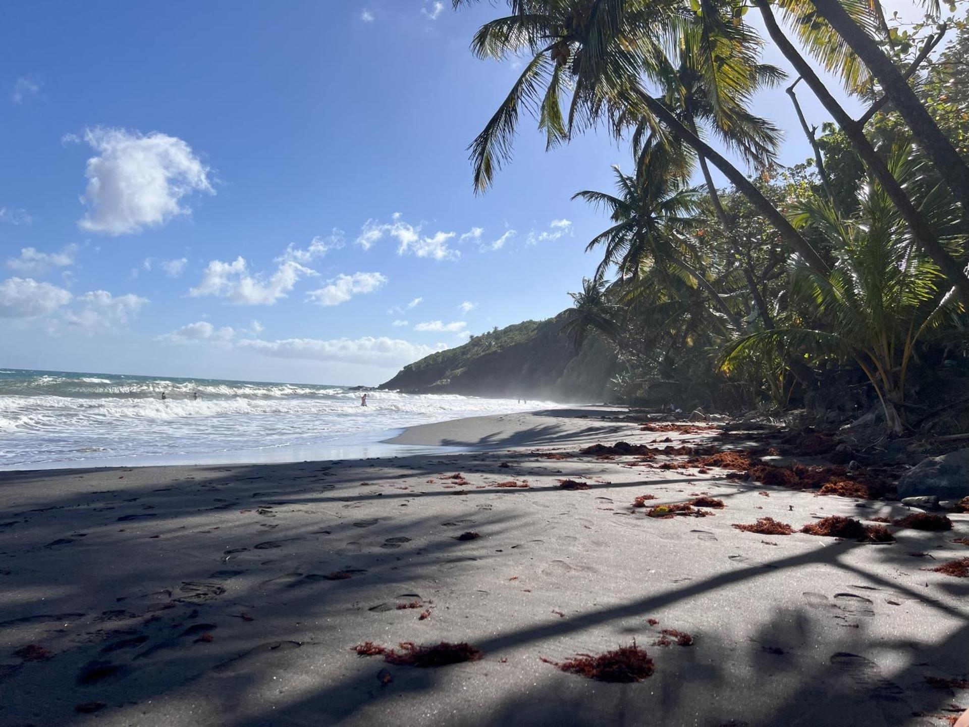 Вилла Domaine Racines E Zel - Gite Pomkajou Vieux-Fort Экстерьер фото